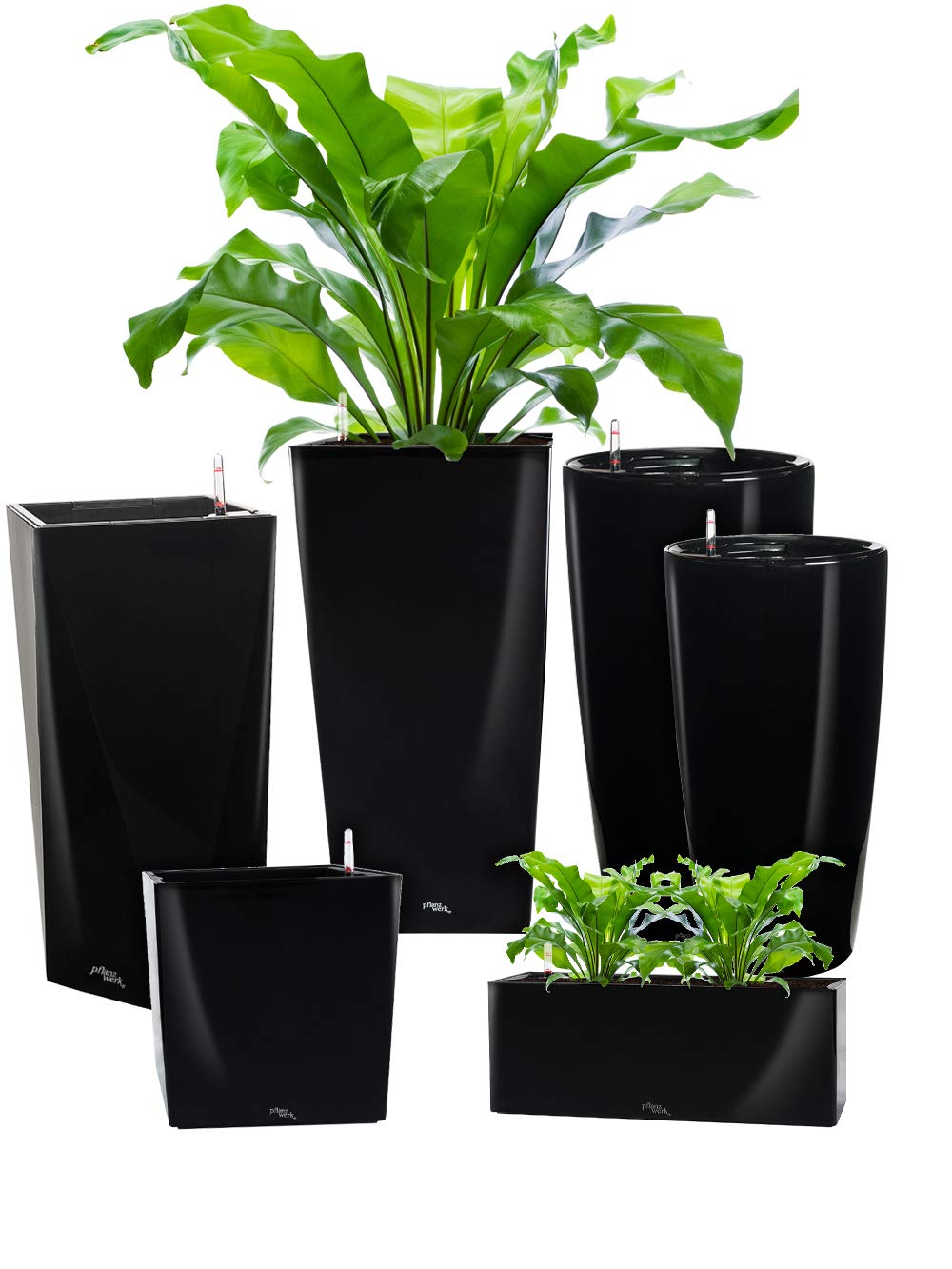 Pflanzwerk® ÖKOSYSTEM Pflanzkübel Square - Blumentöpfe Übertöpfe mit BEWÄSSERUNGSSYSTEM - 75x40x40cm Shiny SCHWARZ *Indoor & Outdoor Blumenkübel* *UV-Schutz* *Premium Markenqualität*