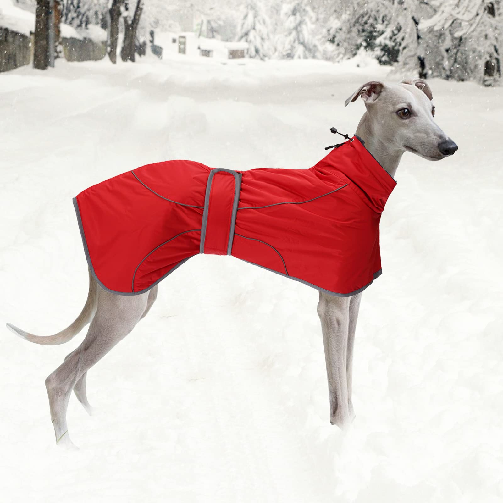 Geyecete- Wasserdicht Windhunde Mantel Fleece Whippet Pullover Winterjacke,Verstellbaren Reflektierend Outdoor Hundemantel für mittel und Grosse Galgo Windhund Whippet Lurcher Saluki-Rot-S