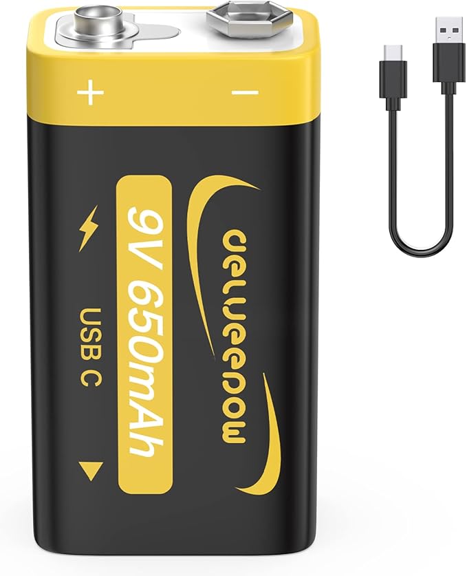 Delyeepow 9V Rechargeable Battery USB Rechargeable 9V Lithium Batteries