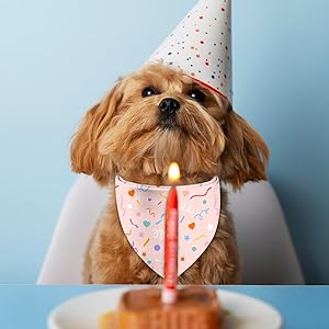 Happy Birthday Dog Bandanas, Double Sided Adjustable Birthday Party Pet Decorations 2 Pack Triangle Bibs Cat Scarf Set