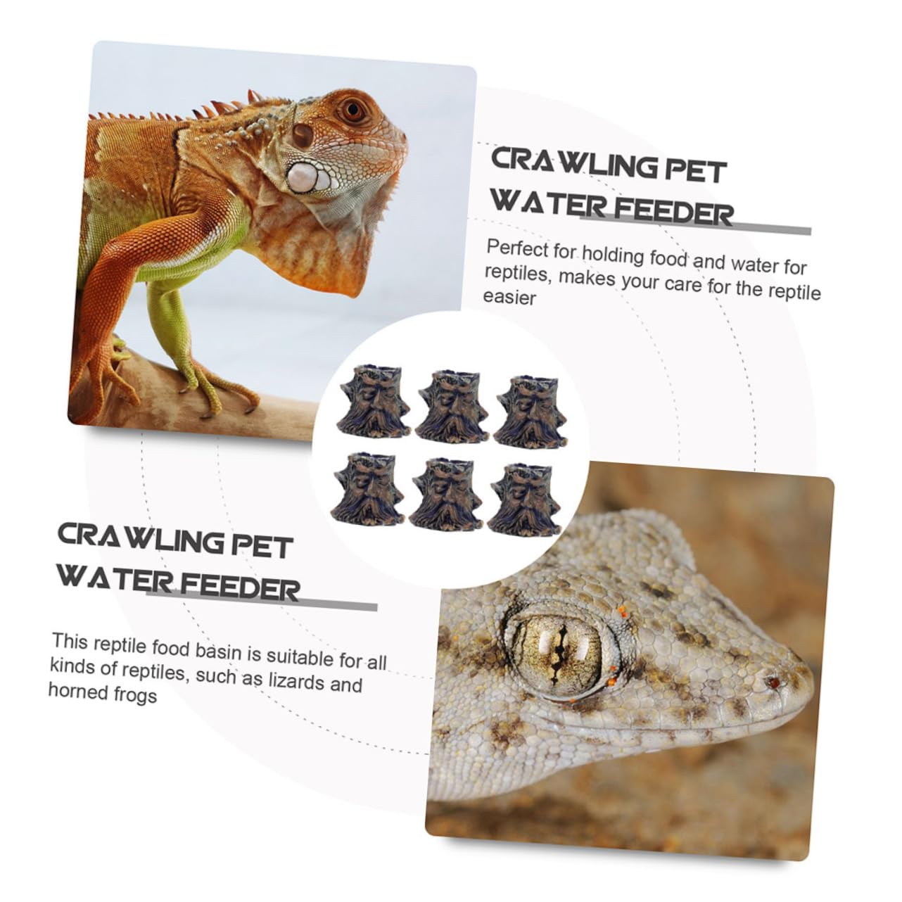 minkissy 12 piezas de baño de pájaros para mascotas, plato de gusano de reptiles, comederos de agua de tortuga, recipiente de alimentos para alimentos, cuenco de agua de serpiente, alimentador de