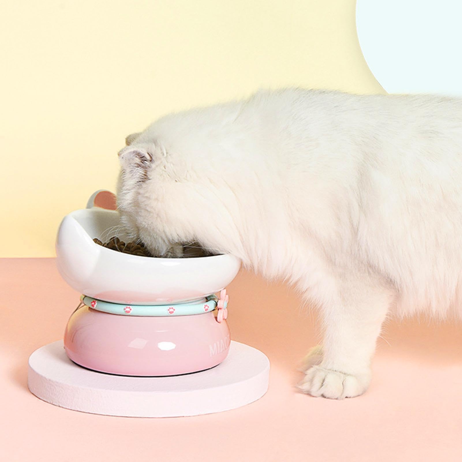 Gamelle surélevée en céramique pour chat - Anti-vomissements
