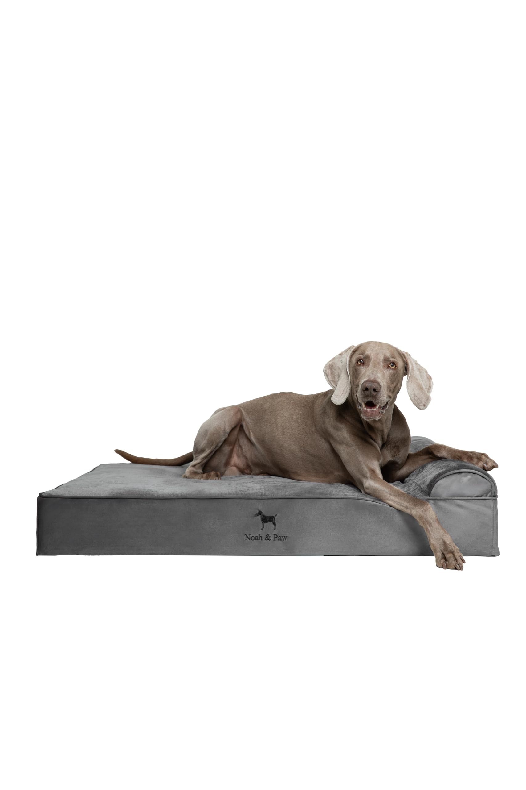 NOAH & PAW XL Dog Bed, 45x35x9.1 Inch, Orthopedic Large Dog Beds, Eggshell Memory Foam Infused with Cooling Gel, Waterproof, Machine Washable, Includes Inner Cover (Velvet Collection)