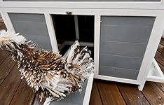 Review Image by Sarah H Sarah H