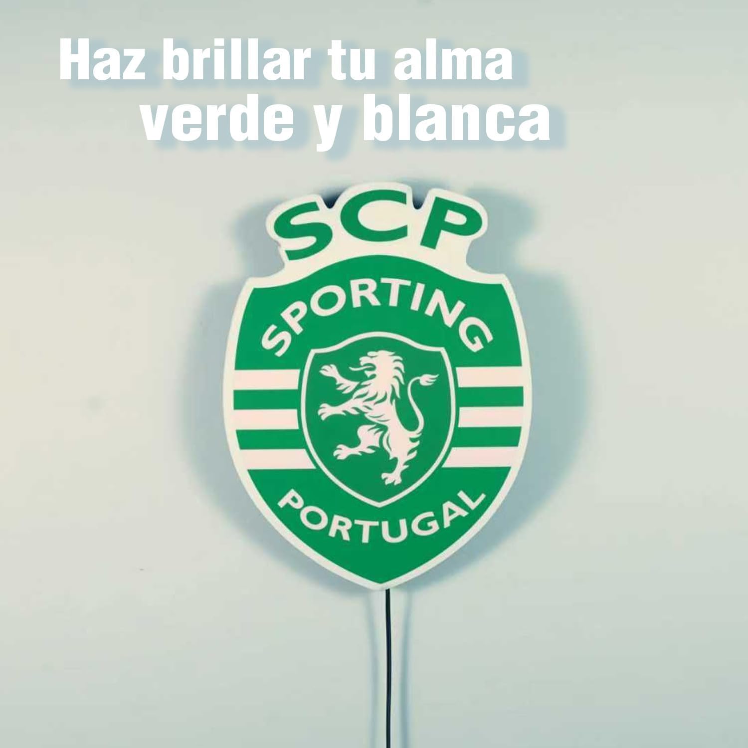 Shield for Wall or Window, Electroluminescent Light, Decorative, 2 Light Modes, Includes USB Inverter and Double Sided Tape, Official Product, Gift for Football Fans