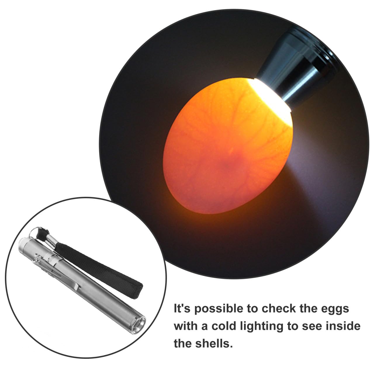 BESPORTBLE Lampe LED pour Mirer Les Œufs Incubation Professionnelle pour Poules Canards Oies avec Lumière Froide Portable pour Vérification Fertilité Et Développement des