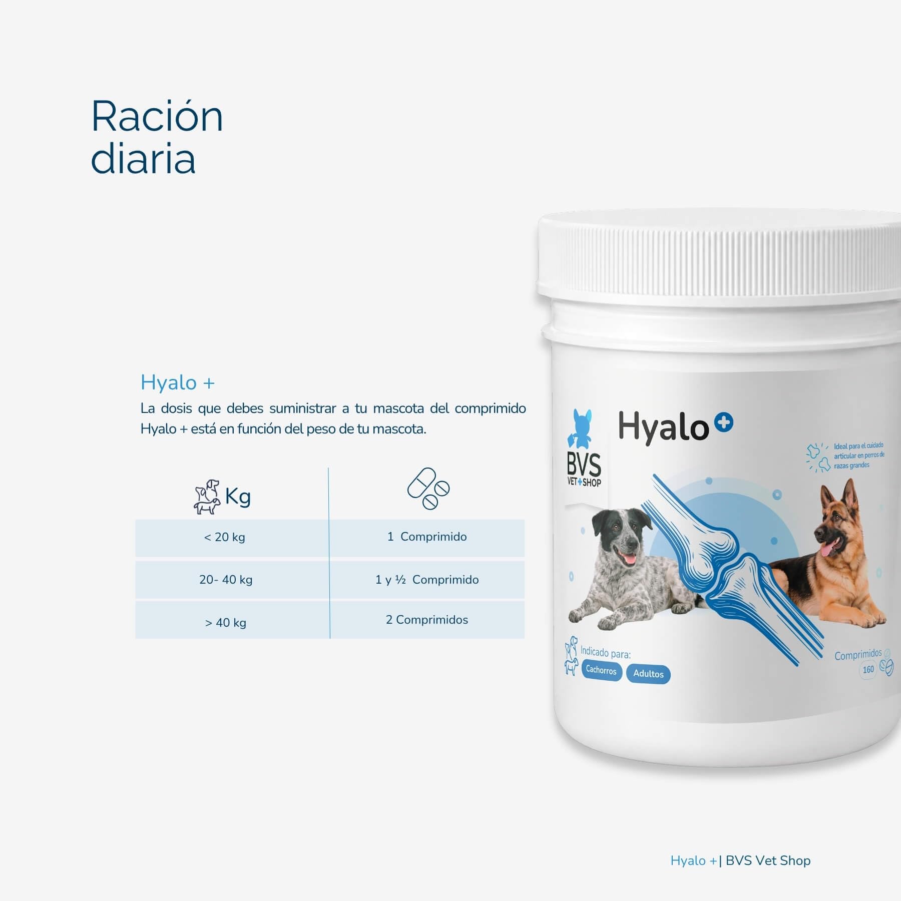 BVS Vet Shop | Hyalo Plus para Perros | Fortalece el Tejido cartilaginoso y Mejora la Movilidad de tu Mascota | 480 Comprimidos