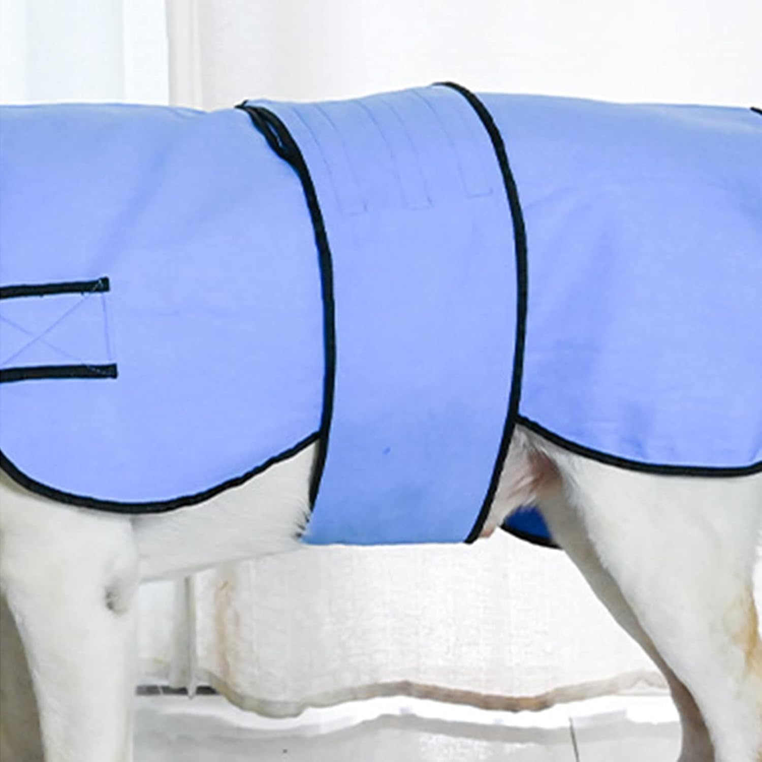 Cooling Vest for Dogs Longer Cooling Time Cooler Jacket Cool Fabric Applicable to All Breeds of Canines Cool Pet Cooler Vest for Walking Outdoor Training Adjustable