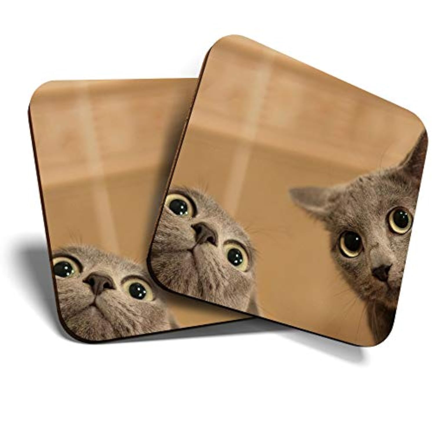 Destination Vinyl Ltd Multicolor 2 X Mdf Glossy Top Coasters Square - Ny Cats Kitten Pet Playful Cat 12186