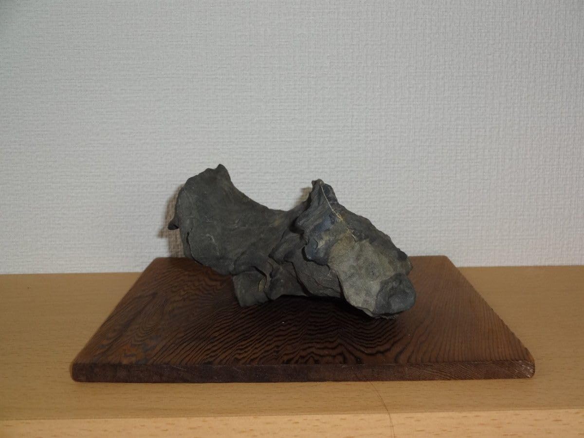 鑑賞用自然石(風速)姿石(豊似石) 板台付き鑑賞用自然石(風速)】自然石 