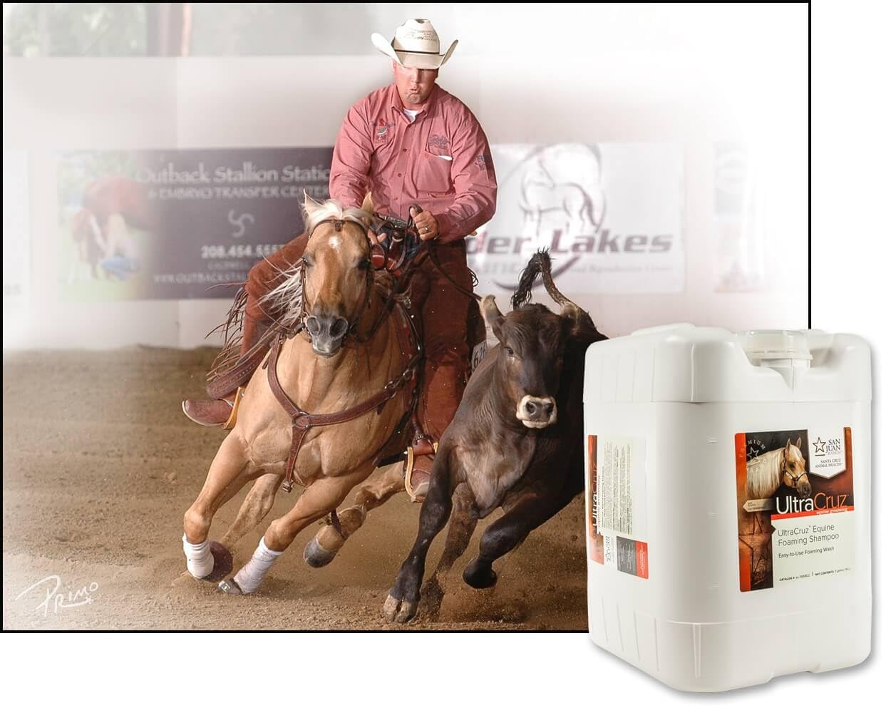 UltraCruz® Equine Foaming Shampoo, 5 Gallon