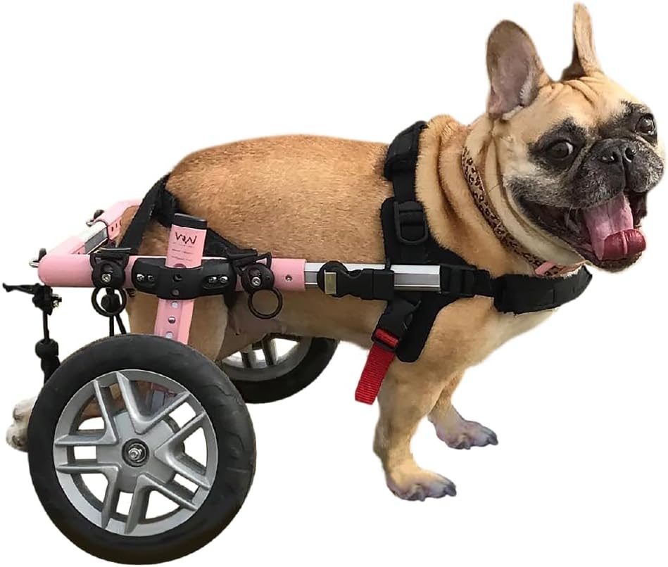 Walkin' Wheels Small Dog Wheelchair, Lightweight Dog Wheelchair for Back Legs, 11-14 lbs, for 7-8 inches Leg Height - Blue