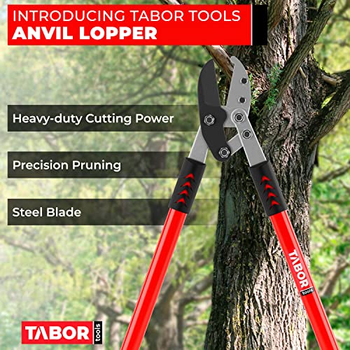 TABOR TOOLS GG12A Tijera de poda anvil 30 pulgadas miniatura 2