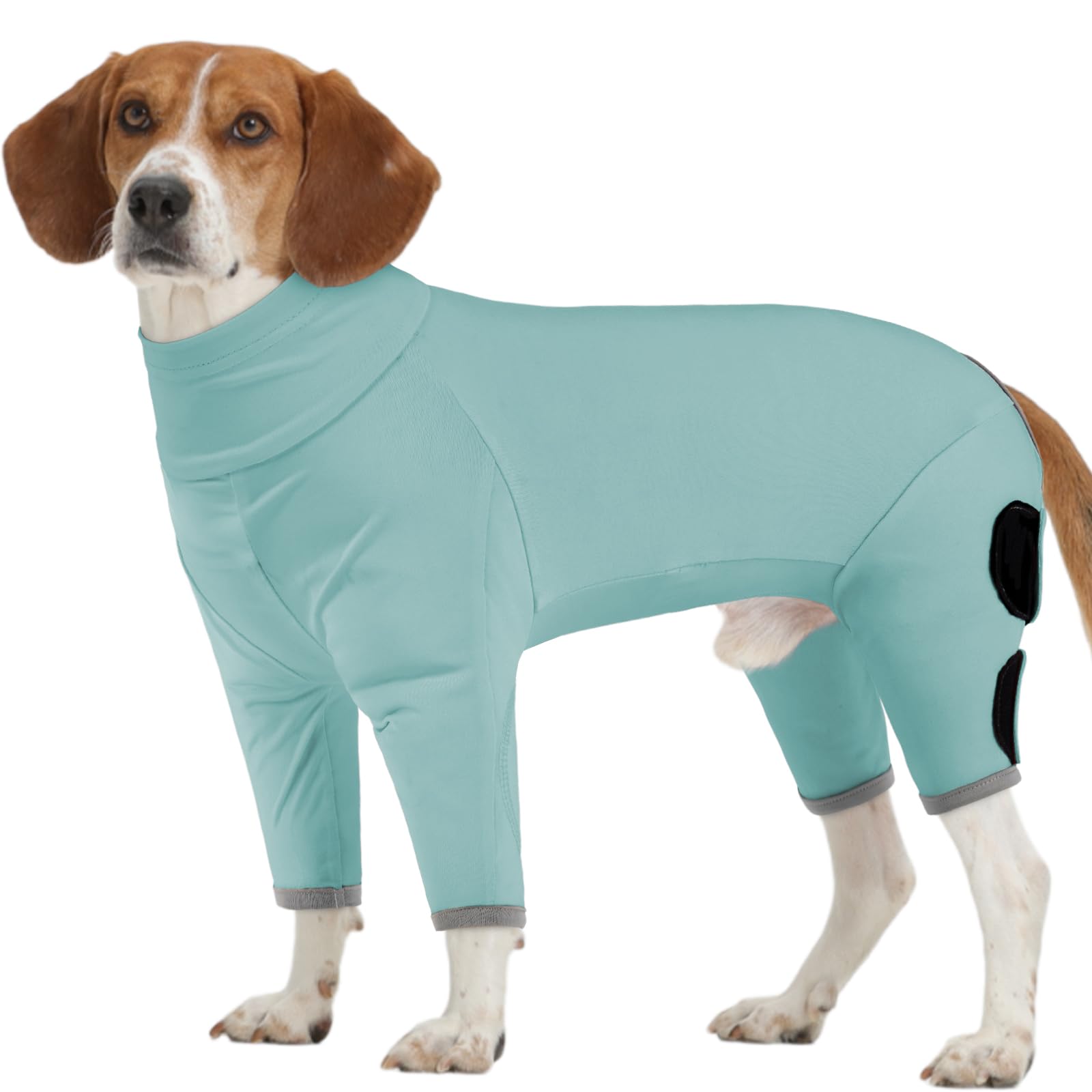 Katzinst Dog Recovery Shirt, Full Coverage Wound Protection, Cuttable Crotch for Male Dogs, Ideal Post Surgery Recovery Pajama, Green, M
