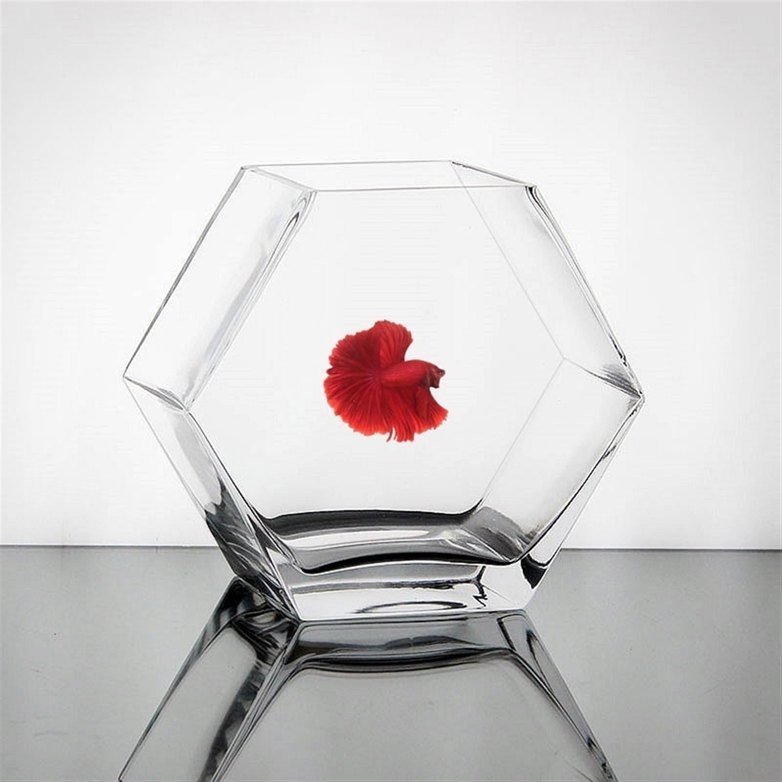 Acquario per decorare il soggiorno Acquario Piccolo acquario esagonale Piccolo acquario in vetro Trasparente Desktop Piccolo acquario Acquario for pesci tropicali Acquario ecologico per principianti