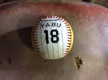 Amazon.co.jp: 阪神タイガース 藪恵壹 YABU サインボール プロ野球
