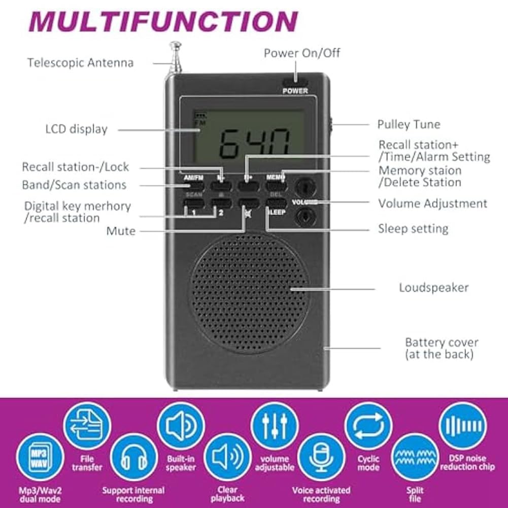 Kit d'équipement de chasse pour chat avec radio, 4 balles et lampe de poche, jouet interactif lumineux pour la maison et l'extérieur