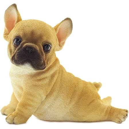 Amazon ファンシー Ca1 フレンチブルドッグ 犬 置物 玄関 かわいい プレゼント 贈り物 インテリア ガーデンオーナメント ガーデニング 犬 好き な 人 へ の プレゼント 誕生日プレゼント 女性 人気 彼女 父 結婚記念日 転居 最適なプレゼント おきあがり 置物