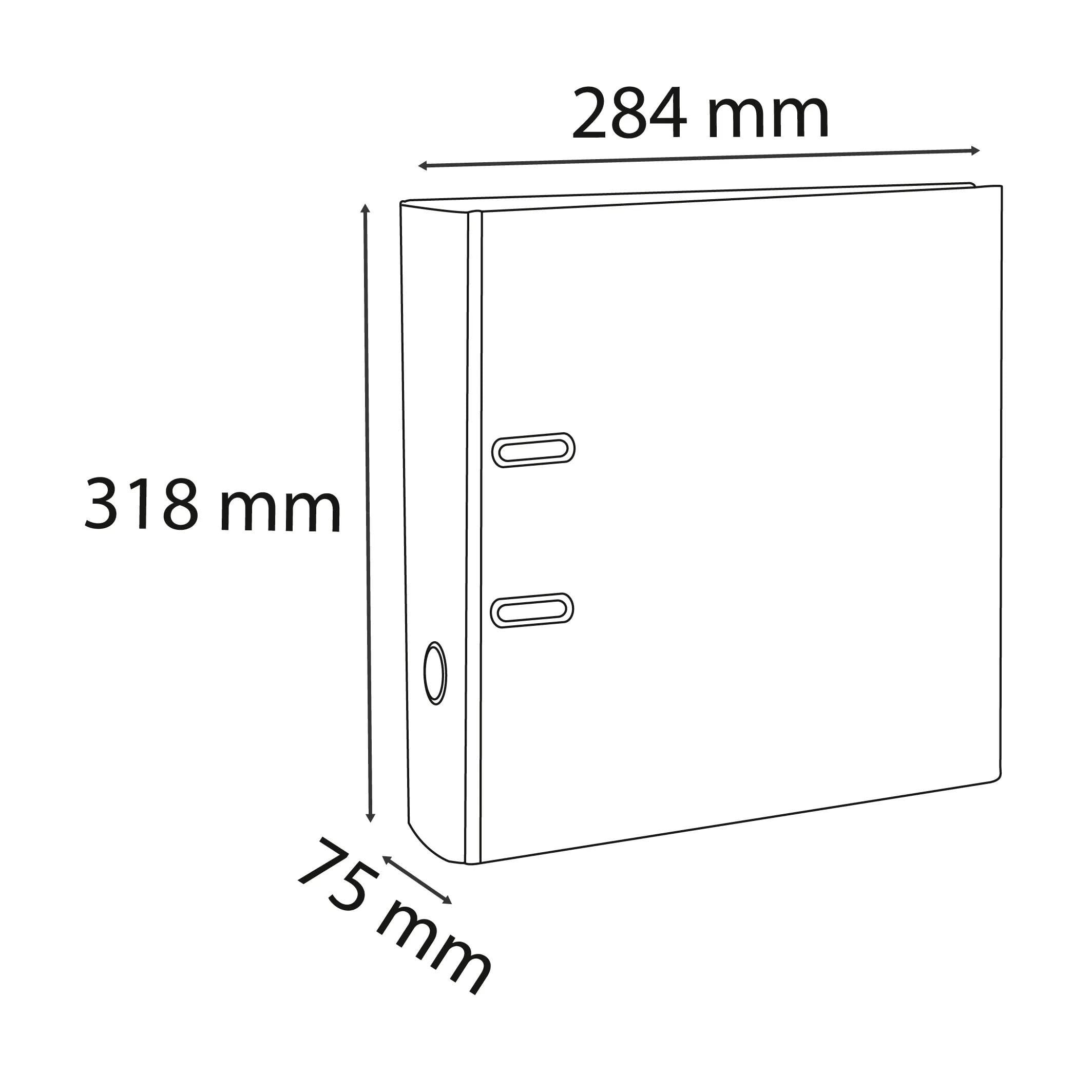 Exacompta - Réf. 918401B - Carton de 20 classeurs à levier A4 - Dos 75 mm - Mécanique 80 mm - Dimensions extérieures : 32x29 cm - Format à classer A4 - Noir