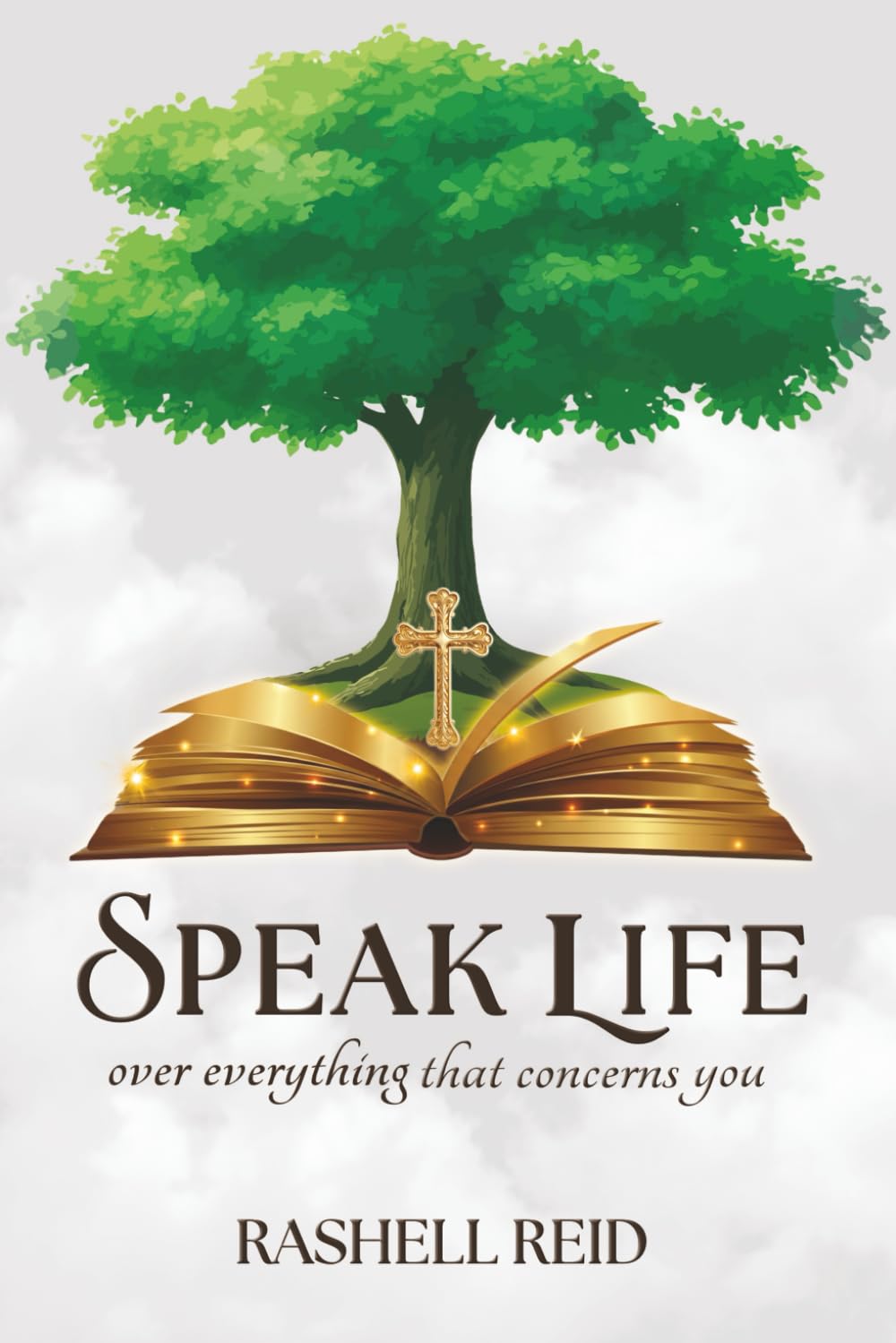 "SPEAK LIFE": Over everything that concerns you.