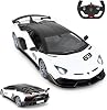 SUNMAN RC Car 114 Lamborghini Aventador Svj 24Ghz with FF Light