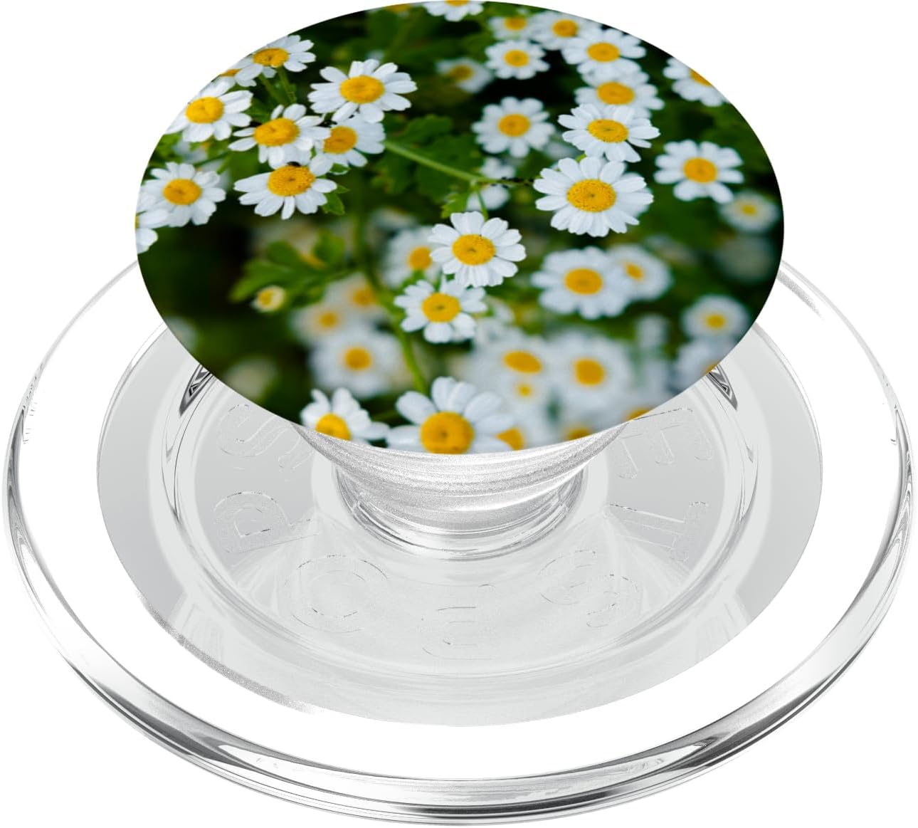 White Daisies Daisy Flowers PopSockets MagSafe PopGrip for iPhone