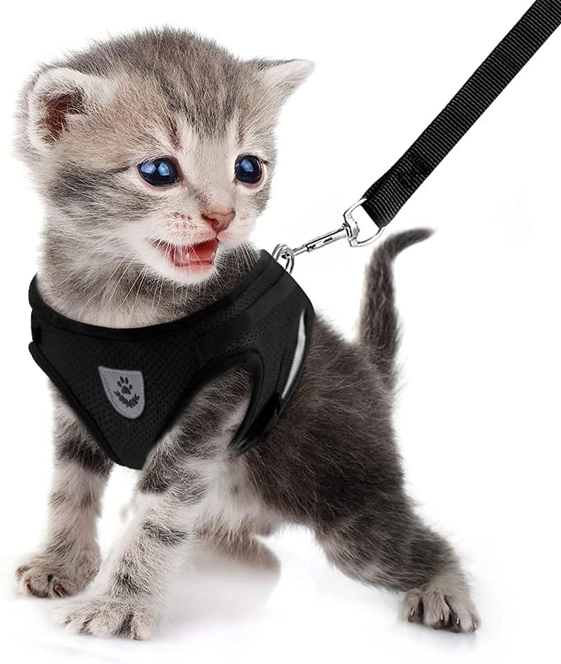 Imbracatura Regolabile Per Gatti, Conigli E Cuccioli - In Nylon, Con Guinzaglio, Colore Arancione - Foto 2