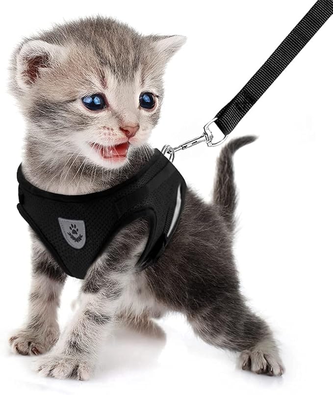 FEimaX Small Cat Dog Harness and Leash Set, No Pull Adjustable Pet
