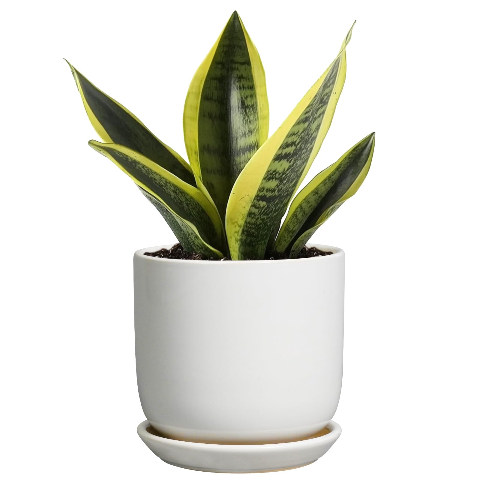 srl 鉢　プラントポット SRL . SMALL BOWL PLANT POT SRL TAPEREDTYPE PLANT POT-XS, M, L SRL ROUNDTYPE PLANT POT-XS, M
