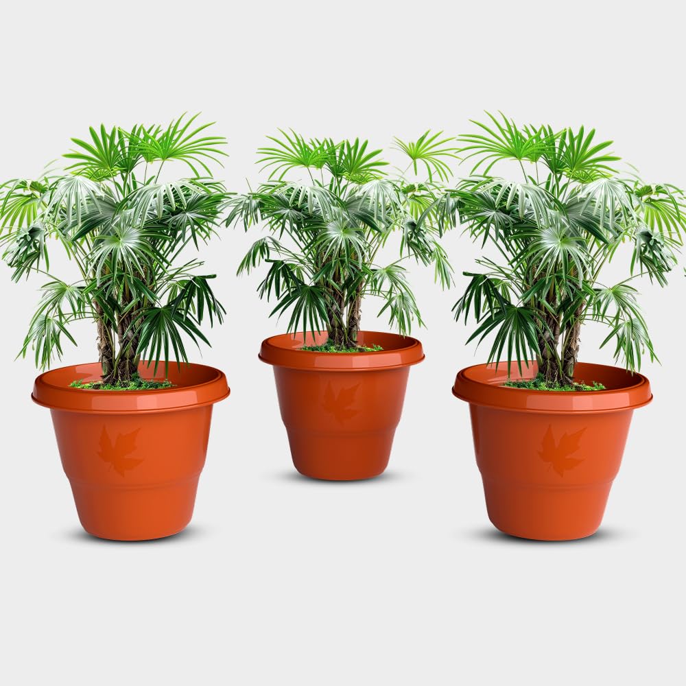 YUCCABE Italia Shera Flower Pots - Set of 3 -11 YUCCABE Italia Shera Flower Pots - Set of 3 -11