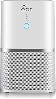 JESE Air Purifier for Allergies and Pets with 4-in-1 HEPA Filter, Small Air Purifier Dust Odor Allergens Smoke Eliminator, Air Cleaner for Home, Air Filter for Office, Small Rooms - coolthings.us