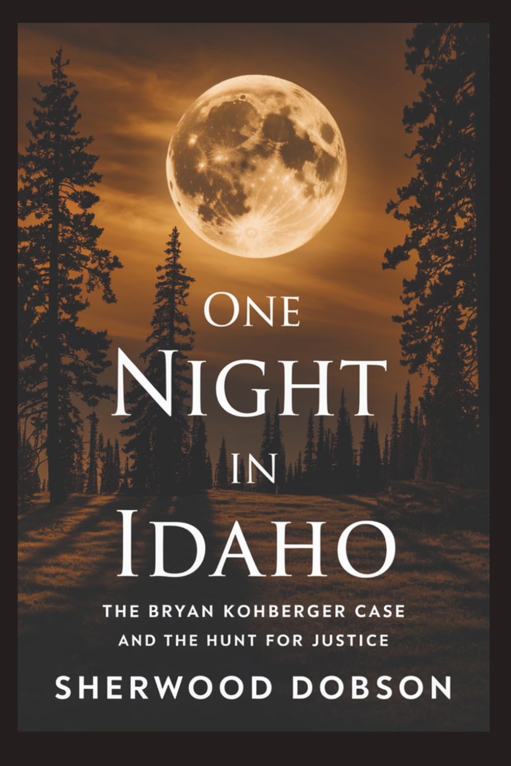 One Night in Idaho: The Bryan Kohberger Case and the Hunt for Justice