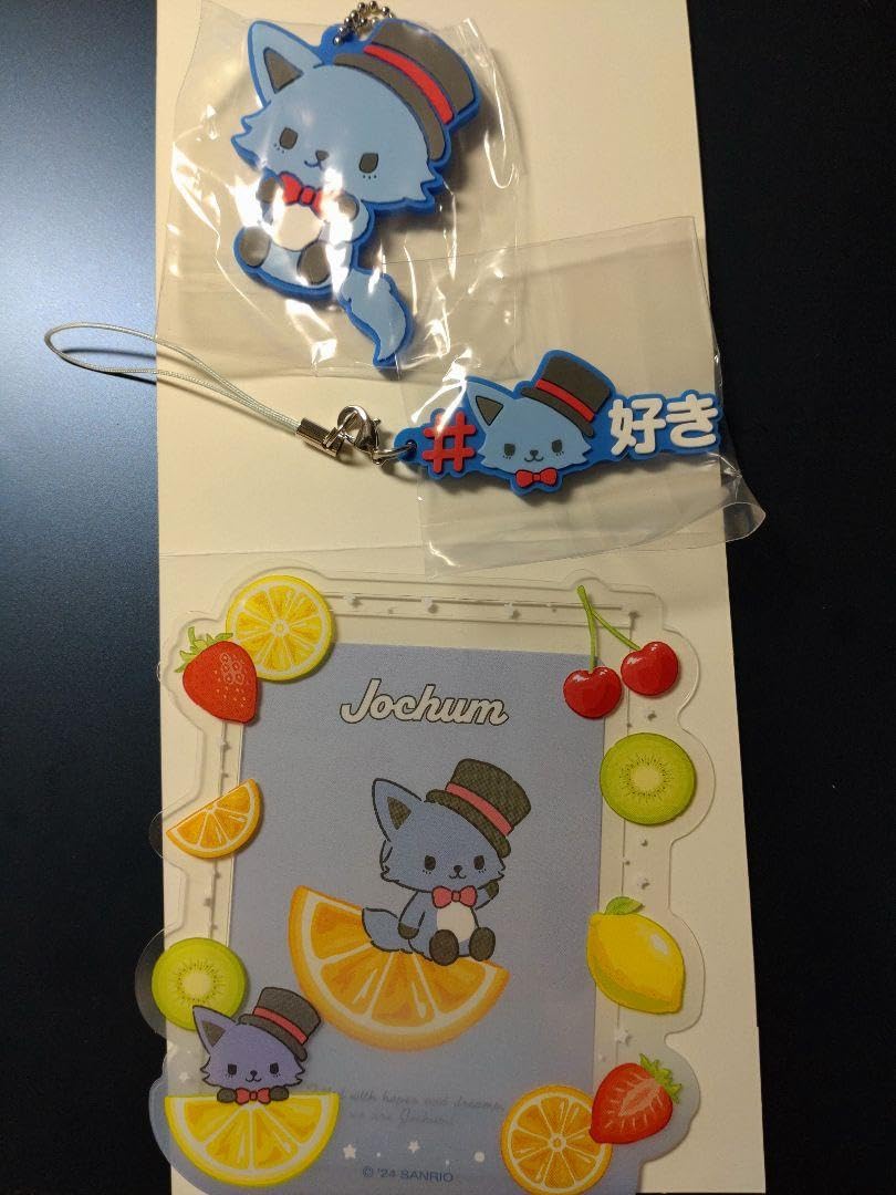 jochum レインセット