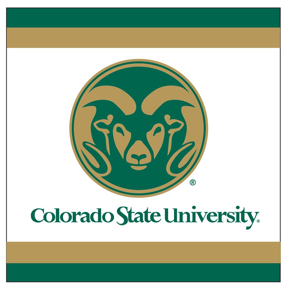 Mayflower Distributing Company PAPER NAPKIN, 5x5, Multicolor