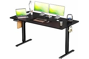 Maidesite 120 x 60 cm Smart Electric Standing Desk