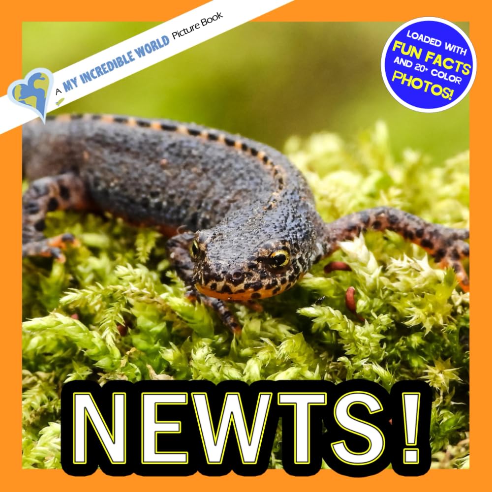 Newts!: A My Incredible World Picture Book for Children (My Incredible World: Nature and Animal Picture Books for Children)