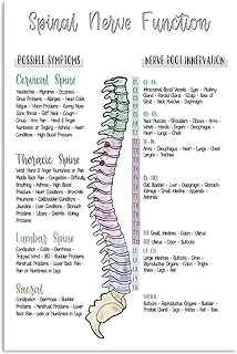 Starotore Medical Posters Spinal Nerve Function Canvas Print Painting Frameless Poster Wall Art For Bedroom Bathroom Garde...