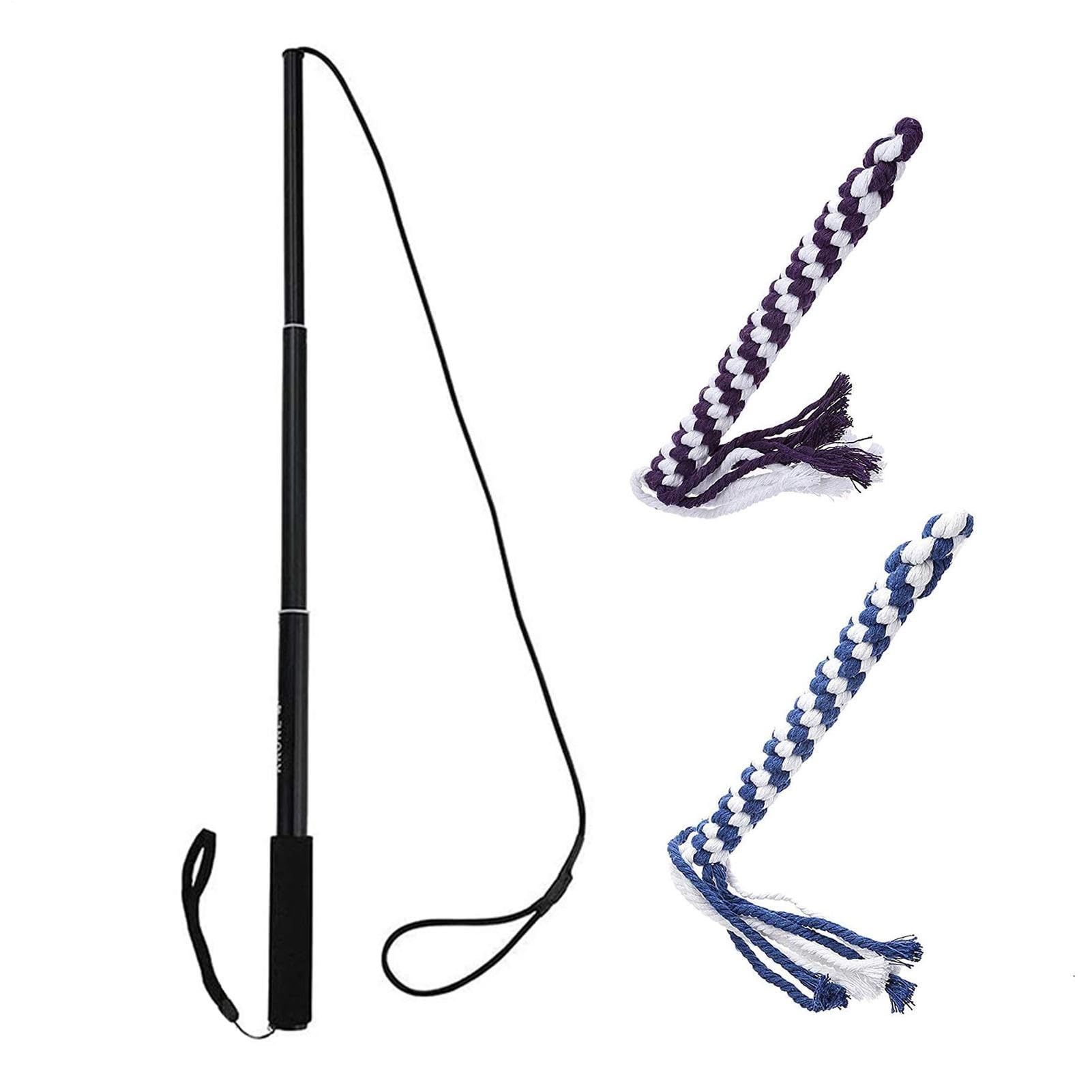 Outdoor Dog Flirt Pole Retractable Extendable Pet Puppy Enrichment Play