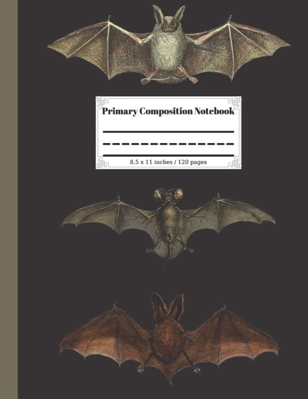 Bat Halloween Primary Composition Notebook: Cute Story Notebook Journal with Picture Space, Vintage Spooky Bat Battern, Perfect Gift for Kids Grade K-2