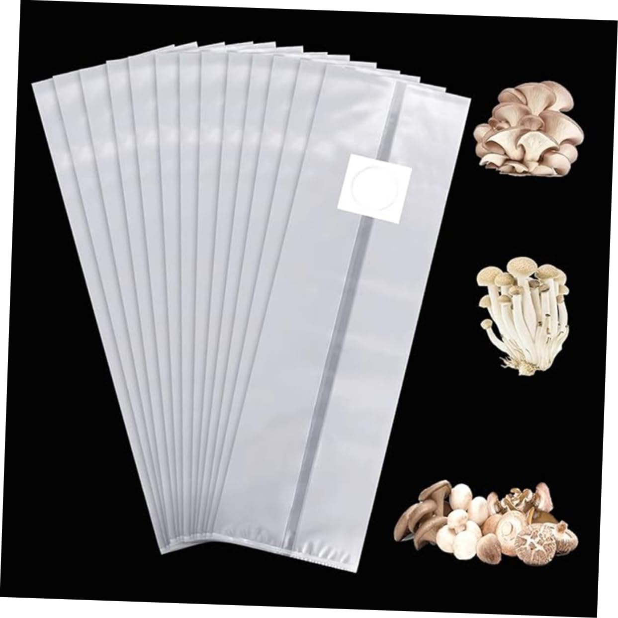 Mipcase Kit De Culture De Champignons D'intérieur 50 Pièces De Culture De Champignons Membrane Respirante 12 X 20 X 50 Cm De Place Convivial pour Les Débutants