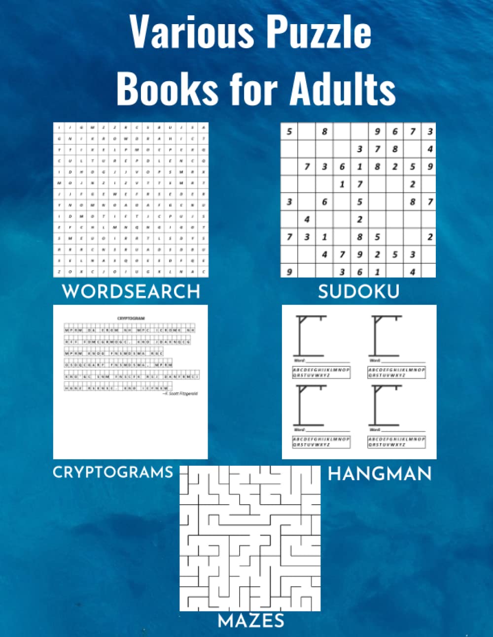Various Puzzle Books For Adults and Teens: Brain Puzzle Activity Book With Sudoku,Word Search ,Mazes,Cryptograms and Hangman