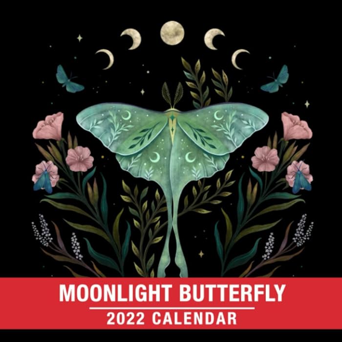 Buy Moonlight Butterfly 2022 Lunar Calendar Illustrated Zodiac Arts