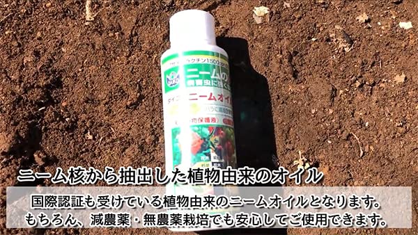 大興貿易 ダイコー 天然植物保護液 ニームオイル (1L)