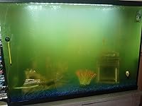 Review Image by Joe M Joe M