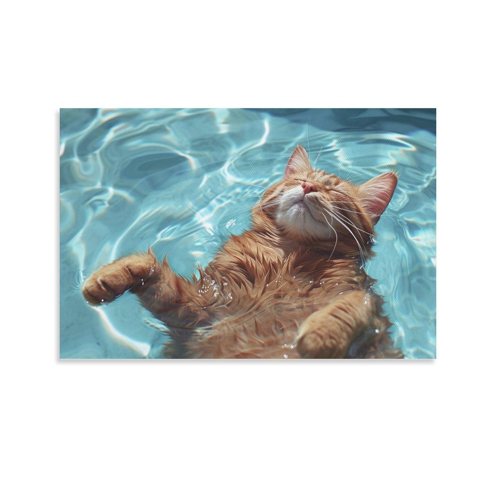 Amazon.co.jp: 絵画 水の上で寝る猫インテリア 絵画 かわいい面白い