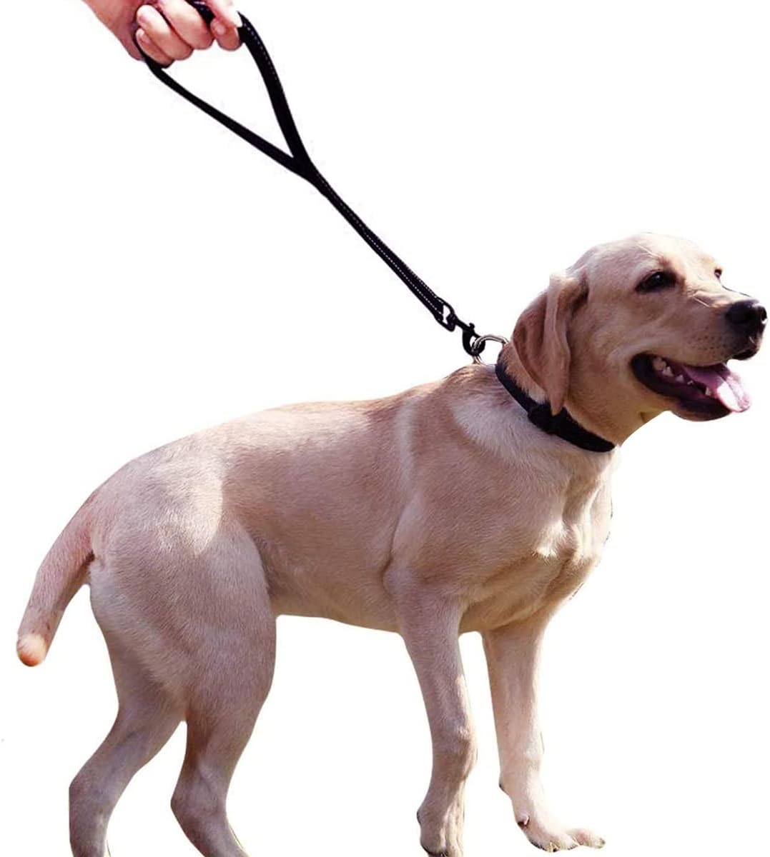 Dog Lead Short Training Dog leashes 25 inch Black 5 6162Ckdf6yL. AC SL1200