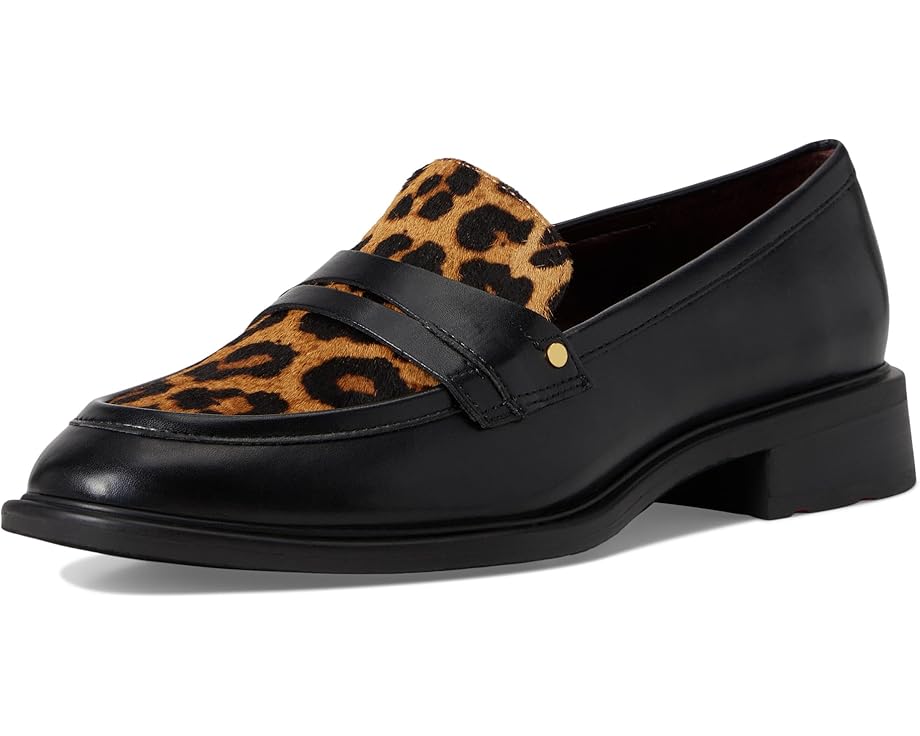 Franco Sarto Edith - Front View