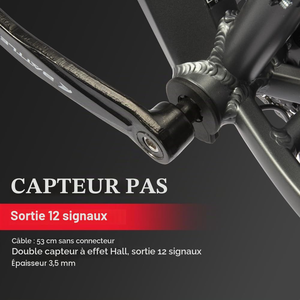 SEASON Ebike Kit de Conversion Vélo électrique 26 Pouces/28 Pouces Moteur Avant 36V 250W Contrôleur intégré avec Batterie 36V 13Ah/15.6Ah/18Ah et Chargeur
