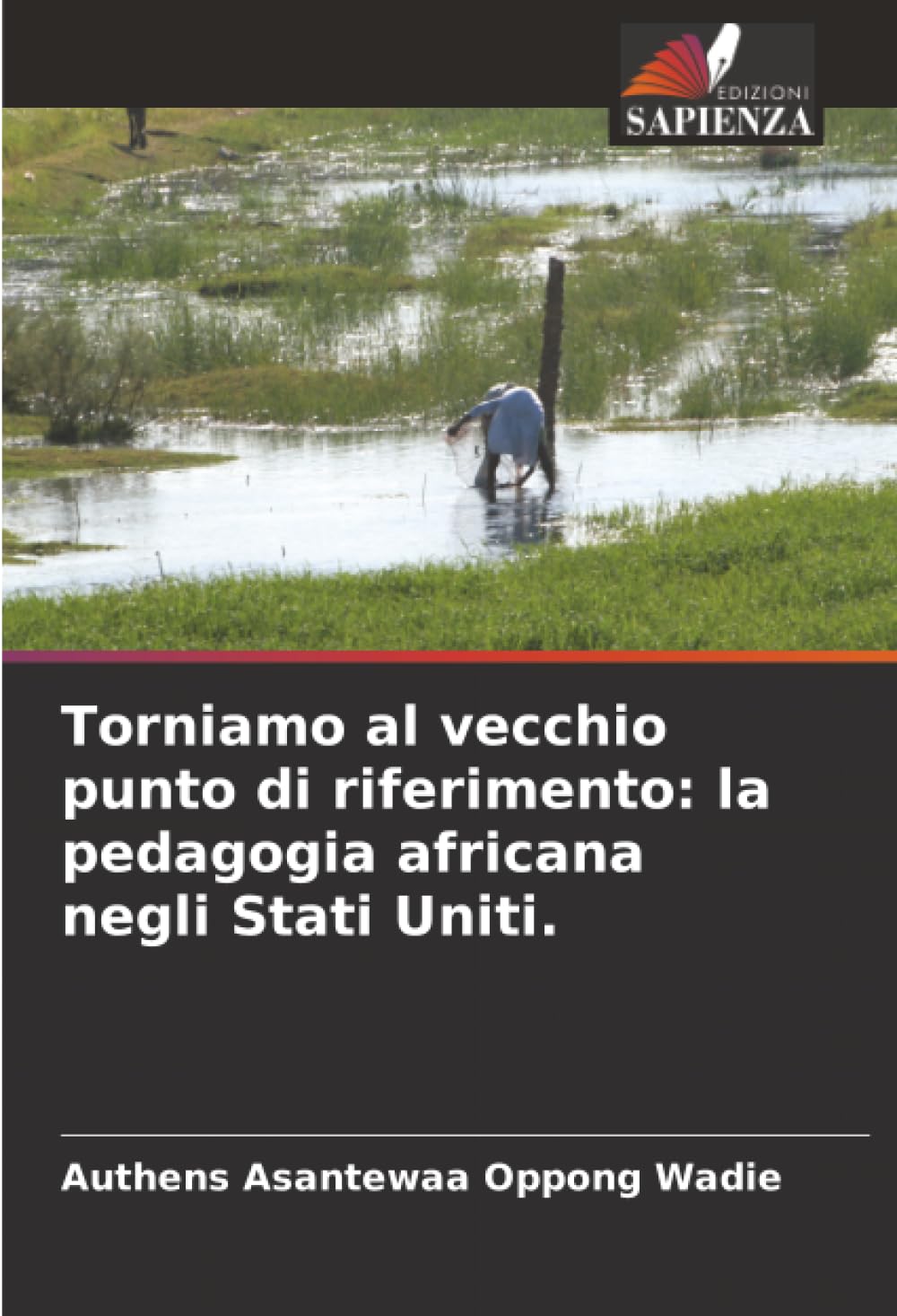 Torniamo al vecchio punto di riferimento: la pedagogia africana negli Stati Uniti.