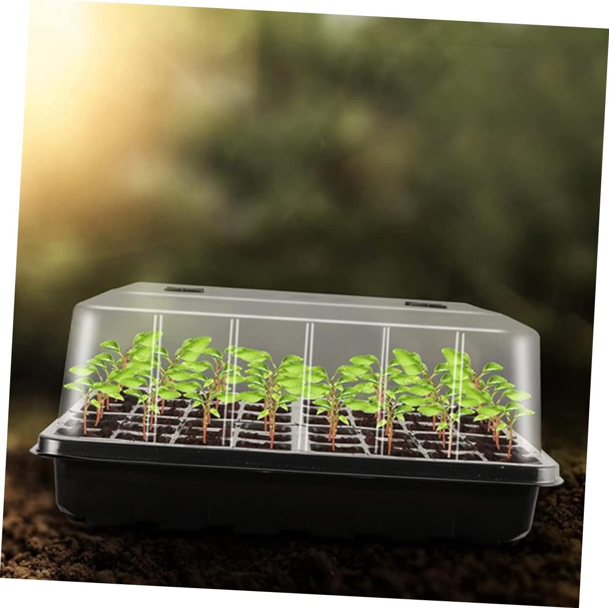 TIDTALEO Seedling Nursery Tray Set with Dome Cover Plastic Germination and Planting Trays for Succulents and Carnivorous Plants for Indoor Garden Starting